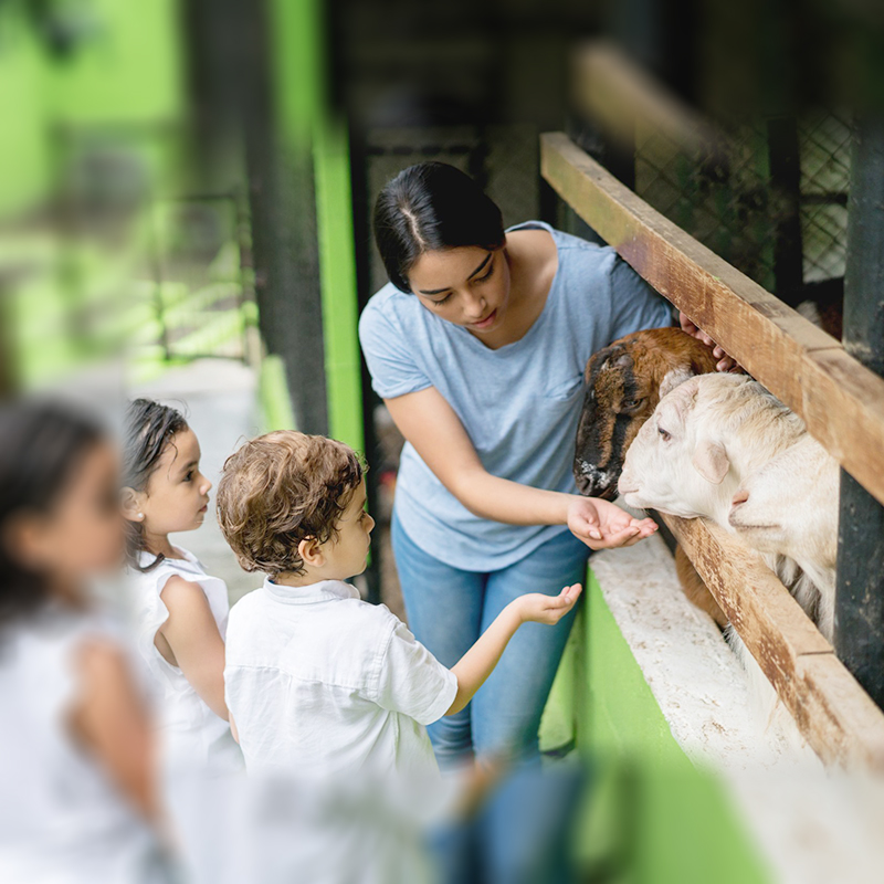 英聯(lián)農(nóng)業(yè)